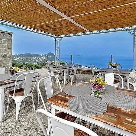 Tenuta C'est La Vie