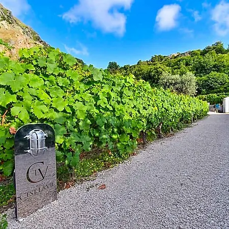Tenuta C'est La Vie 4* Ischia